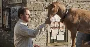 All Creatures Great and Small romance 'sealed' for Siegfried after 'connection'