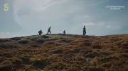 All Creatures Great and Small Season 7: Siegfried Romance Hinted