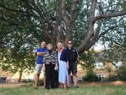 Allerton residents fight to save 70-year-old cherry tree from felling