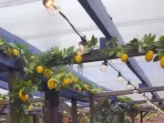 Amalfi Coast Terrace Opens at North East Pub in 'Best Place' to Live