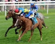 Andrew Balding Eyes British Flat Trainers' Title