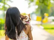 Animal behaviourist urges owners to stop picking dogs up at park
