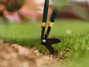 Argos' £18 long-handled edging shears praised as 'very sharp' for awkward spots