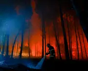 Arrests Made Across Europe Over Suspicion of Starting Wildfires