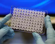 AstraZeneca shares plunge over $400bn US merger talks