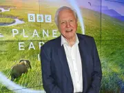 Attenborough's Simple Advice for UK Cat Owners This Summer