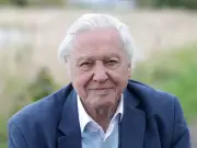 Attenborough's Simple Tip for UK Cat Owners to Protect Birds