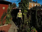 Ayrshire couple claim region's tallest sunflower at almost 12 feet