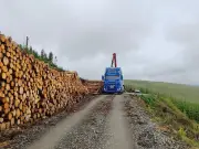 Ayrshire timber route gets funding for safer access