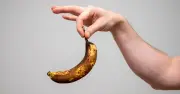 Bananas turn brown faster if stored in one common kitchen area