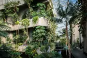 Barbican to give away 2,000 free plant cuttings before closure