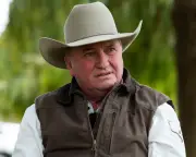 Barnaby Joyce defends One Nation as 'gayest party' after candidate's homophobic comments
