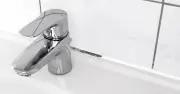 Bathroom mould: Natural houseplant solution to prevent damp