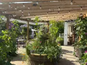 Beamish Hall Hotel's Stables courtyard offers summer treats