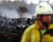 Belgian firefighters battle largest wildfire in a century