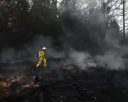 Belgium's largest wildfire rages, King Philippe to visit