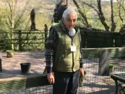Beloved Welsh owl sanctuary run by 87-year-old to close to public