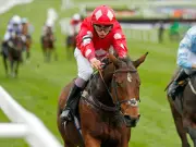 BHA lifts ban on pony racing and parades after flu cases fall