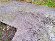 Bicarbonate of soda: the 5-minute patio moss fix