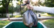 Binman explains why black bags are rejected from recycling