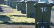 Binman reveals simple trick for recycling greasy pizza boxes