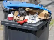 Binman settles debate on what happens to recycling if bin lids won't shut