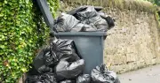 Binman settles debate over where extra rubbish should go