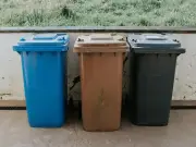Binman warns common item in recycling could see rubbish left uncollected