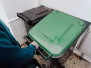 Binman warns pet food in wrong bin attracts maggots