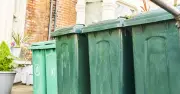 Binman warns pet food in wrong bin causes maggots