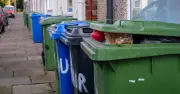 Binman's advice on what to do with overflowing bins