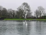 Bird deaths at Walton Hall Park as 'important update' issued