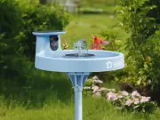 Birdfy Bird Bath Pro review: Smart bird bath with camera