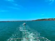 Boat sounds urgent alert off Welsh coast