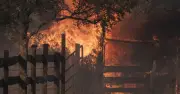 Body found after chainsaw wildfire as man says sorry
