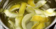 Boil lemon peels in water from September to deter spiders