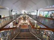 Bolton Museum: Free rainy-day gem with hidden aquarium