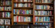 Bookshelves will be clean and dust-free if you wipe down with simple item – not a cloth