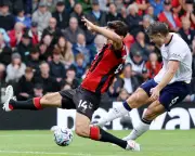 Bournemouth 2-1 Everton: Late Winner Seals Comeback Victory