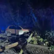 Boy, 12, drives 38 miles before crashing into telegraph pole