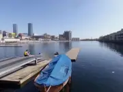 Boy, 14, dies after entering water at Millwall Outer Dock