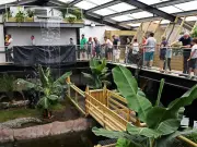 Boy, 3, injured in crocodile enclosure back home and 'playing with toys'