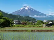 Boy, 7, left alone on Mount Fuji by dad after hike