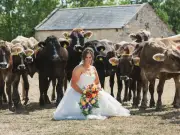 Bride rides favourite cow into wedding ceremony in Somerset