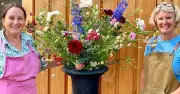 British florists face worst year yet as drought decimates stocks