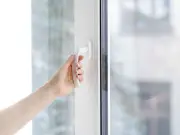 Brits told to shut windows from 7pm as spider season peaks
