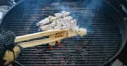 Brits Urged to Avoid Disposable BBQs as Heatwave Raises Wildfire Risk