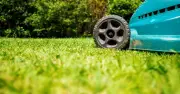 Brown Lawns Bounce Back Fast With One Simple Mowing Change