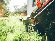 Brown Lawns Bounce Back Fast With One Simple Task