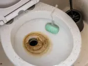Brown toilet stains vanish overnight with citric acid, no scrubbing